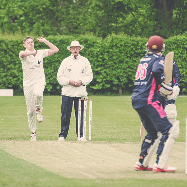 University Cricket